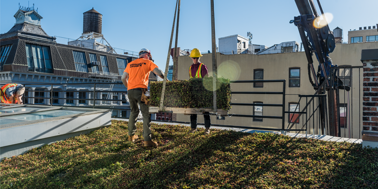 Workers installing green roofing in Brooklyn